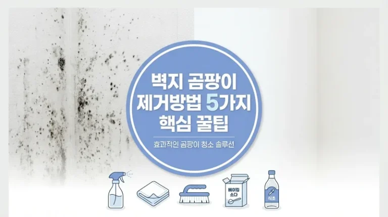 벽지 곰팡이 제거방법 5가지 핵심꿀팁
