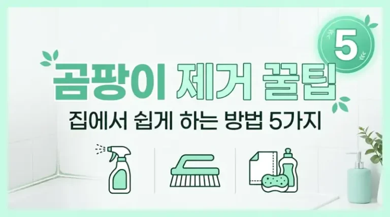 곰팡이 제거 꿀팁 집에서 쉽게 하는 방법 5가지