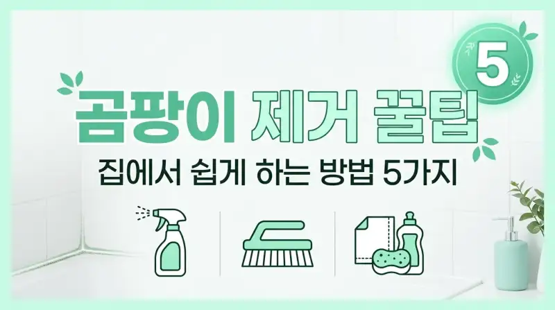 곰팡이 제거 꿀팁 집에서 쉽게 하는 방법 5가지