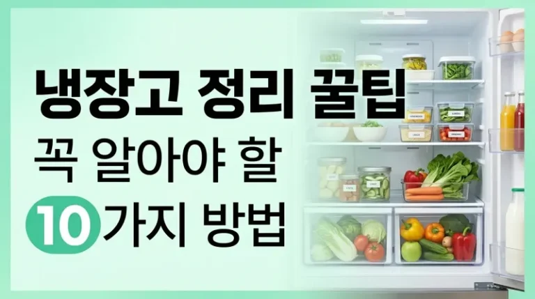 냉장고 정리 꿀팁 꼭 알아야 할 10가지 방법