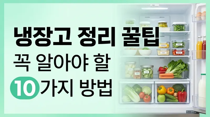 냉장고 정리 꿀팁 꼭 알아야 할 10가지 방법