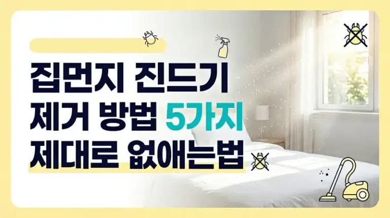 집먼지 진드기 제거 방법 5가지 제대로 없애는법