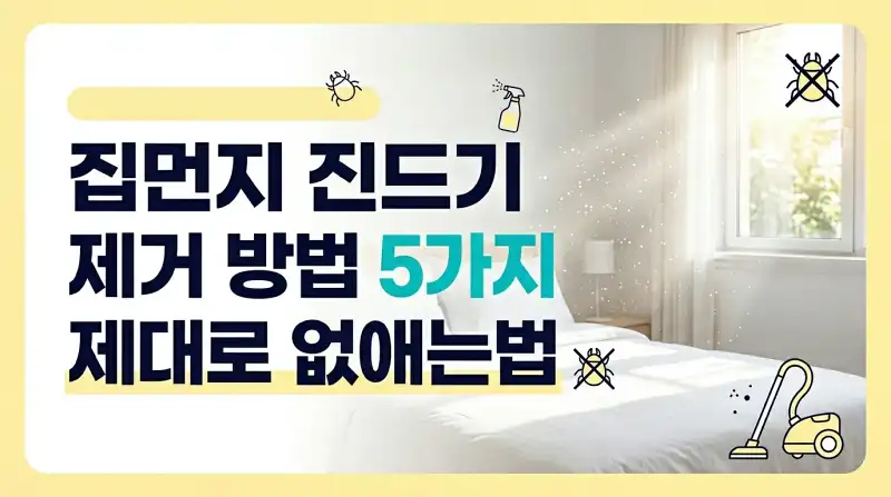 집먼지 진드기 제거 방법 5가지 제대로 없애는법