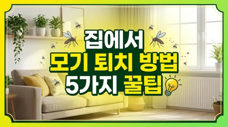 집에서 모기 퇴치 방법 5가지 꿀팁
