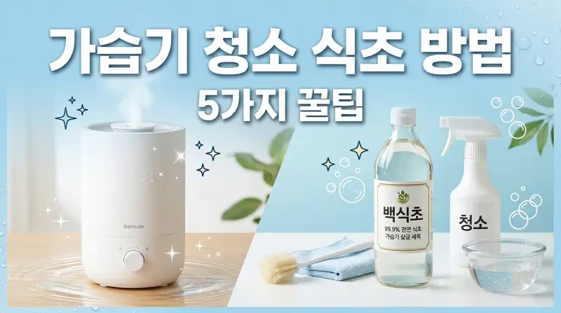 가습기 청소 식초 방법 5가지 꿀팁