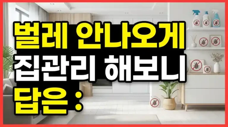 벌레 안나오게 집관리 해보니 답은
