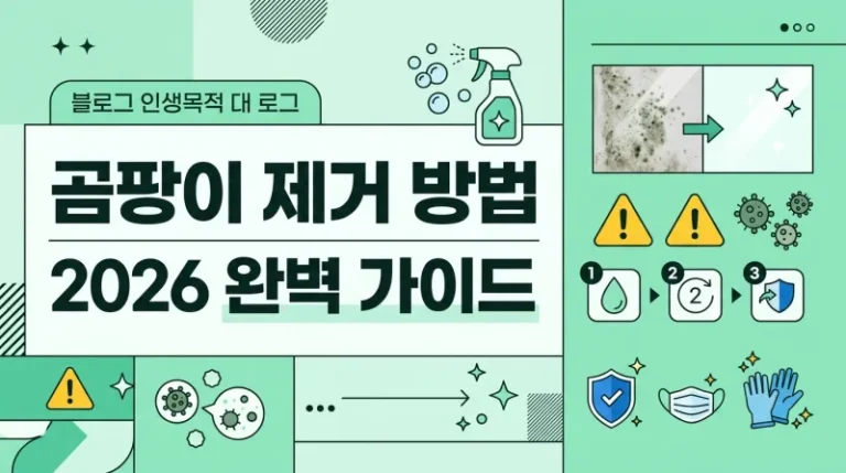 곰팡이 제거 방법 2026 완벽 가이드