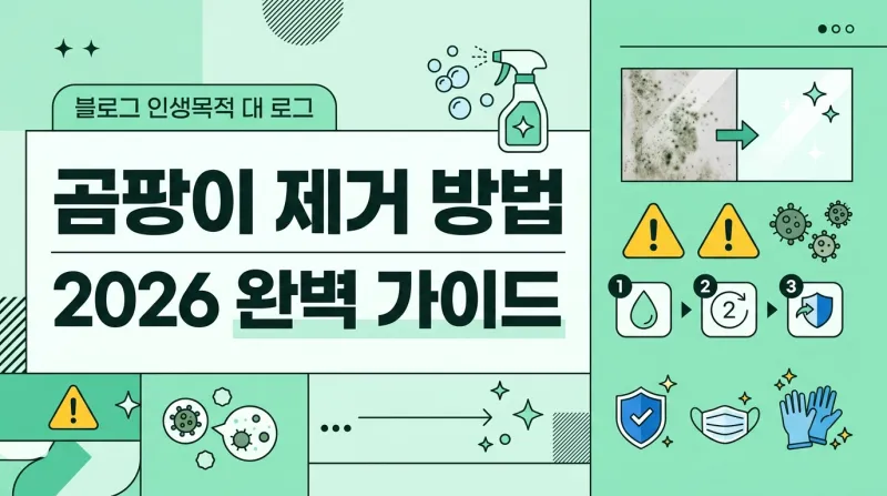 곰팡이 제거 방법 2026 완벽 가이드