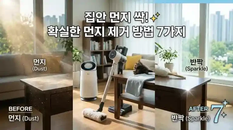 집먼지 제거 7단계 실천법 총정리