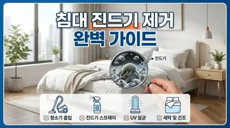 침대 진드기 제거 완벽 가이드