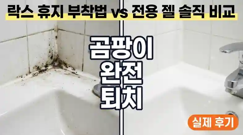 욕실 실리콘 검은 곰팡이 완전 퇴치법